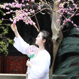 costume-2533827_1280